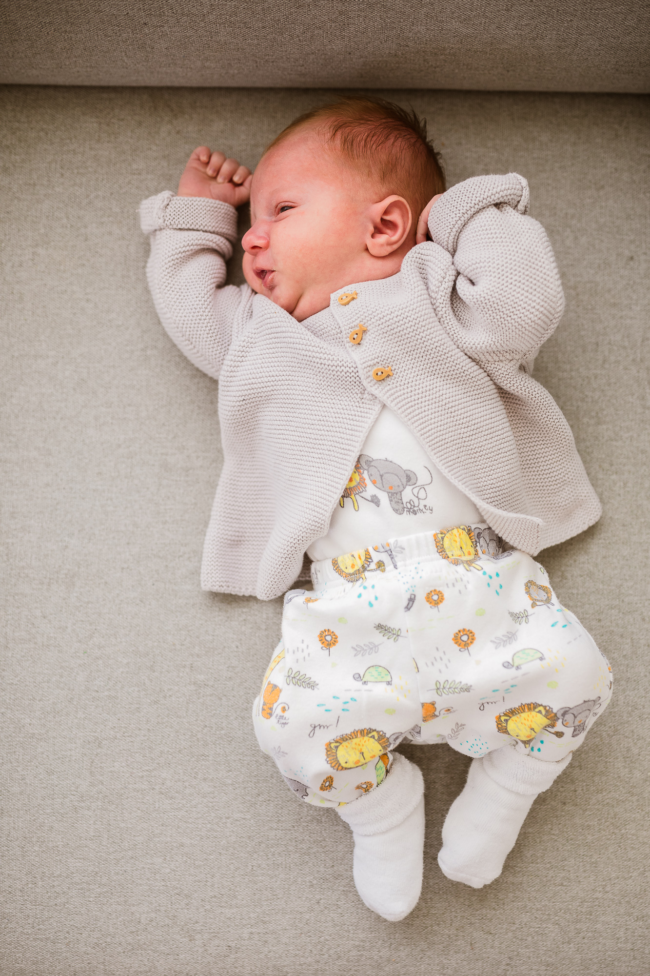 Export x3 5D4 6788 Familienfotoshooting 2019 Hefti